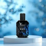 WHY - Inspired by YSL Y